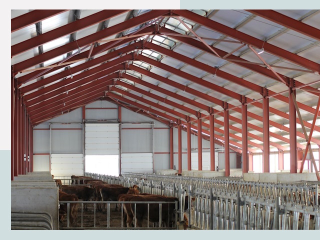 Строительство коровников в Новочеркасске